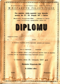 dipl2v.gif